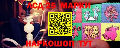 spice Донецк