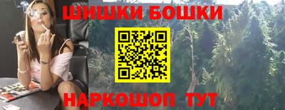 крисы Дубна