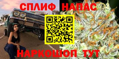 крисы Дубна