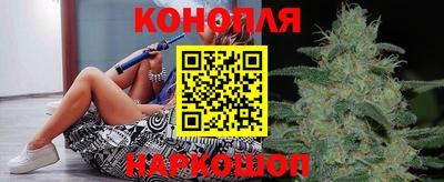крисы Дубна