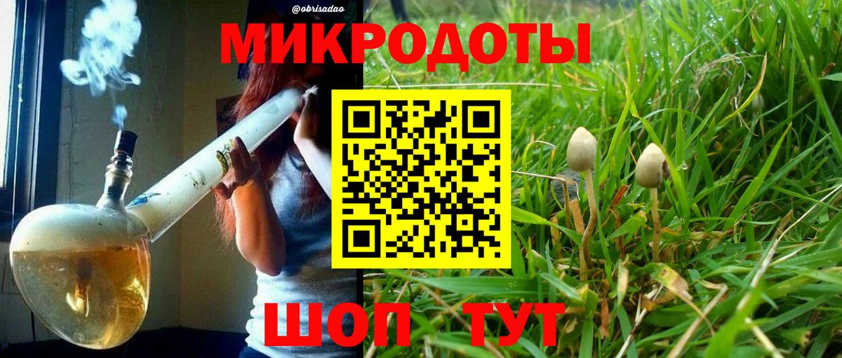 Галлюциногенные грибы Psilocybine cubensis  Вход с VPN  Муравленко  Псилоцибиновые грибы мухоморы 